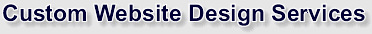Custom Website Design Services